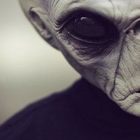 Портрет фотографа (аватар) Oleg Sobesceanschi