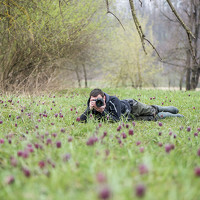 Портрет фотографа (аватар) Rok Štirn