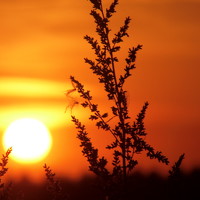 Портрет фотографа (аватар) сергей павлов (Sergei Pavlov)