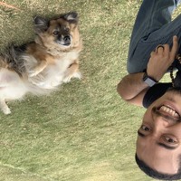 Портрет фотографа (аватар) Adriano Carvalho