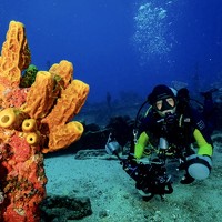 Портрет фотографа (аватар) Paula Vianna