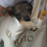 Портрет фотографа (аватар) MARRA ANA CLAUDIA (ANA CLAUDIA MARRA)