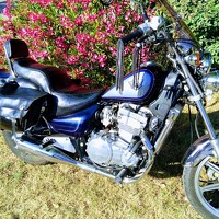 Фотография Michel Myster (Michel MYSTER) Портрет фотографа (аватар) Michel Myster (Michel MYSTER)