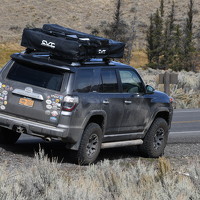 Портрет фотографа (аватар) Kamrouz Saifi