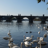 Фотография Зоя Портрет фотографа (аватар) Зоя