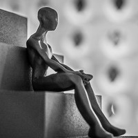 Портрет фотографа (аватар) Francisco José Tenorio (Francisco José López Tenorio)