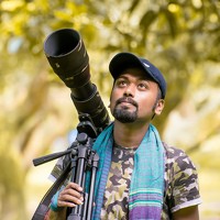 Портрет фотографа (аватар) Kajol Dey