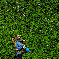 Портрет фотографа (аватар) Mohsen Runama (Mohsenrunama)