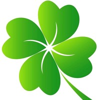 Портрет фотографа (аватар) Mina Yazdani rad