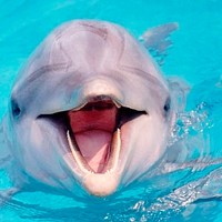 Портрет фотографа (аватар) Oleg Kuzovlev (Олег Кузовлев)