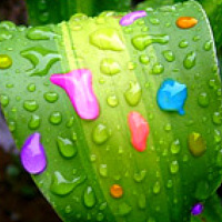 Фотография Ксюша (Ksucha) Портрет фотографа (аватар) Ксюша (Ksucha)