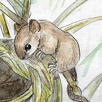 Евгения Муравская - фотограф