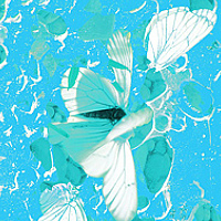 Лещёнок Александр - фотограф