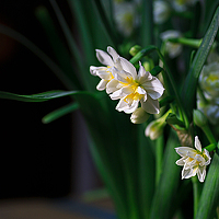 Портрет фотографа (аватар) 黑铁 (Ari)