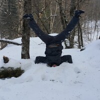Портрет фотографа (аватар) Алексей Полтавец (ALEKSEI POLTAVETS)