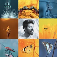 Портрет фотографа (аватар) Hemraj Chavhan A (Hemraj Chavhan)