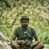 Портрет фотографа (аватар) Amila jeewan Herath (අමිල ජීවන් හේරත්)