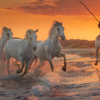 Портрет фотографа (аватар) Haktan Okumusoglu