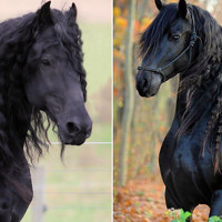 Портрет фотографа (аватар) Полина Савина (Polina Savina)