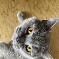 Портрет фотографа (аватар) Беловодченко (Vadim Belovodchenko)