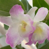 Портрет фотографа (аватар) Ольга Рогозинская (Olga Rogozynska)