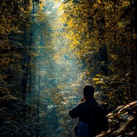 Портрет фотографа (аватар) Dandi Rahman