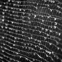 Портрет фотографа (аватар) berhane Goitom (ብርሃነ ጎይትኦም ሃብተማርያም)