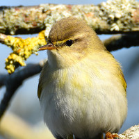 Фотография Mark butterworth (mark butterworth) Портрет фотографа (аватар) Mark butterworth (mark butterworth)