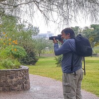 Портрет фотографа (аватар) MARCELO GIORGI (Marcelo Giorgi)