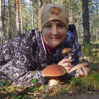 Портрет фотографа (аватар) Natalia Potapova