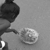 Портрет фотографа (аватар) Михаил Глазырин (Glazyrin Mihael)