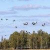 Алешка Татьяна