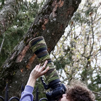 Портрет фотографа (аватар) Георгий Белов (George Belov)