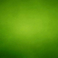 Портрет фотографа (аватар) yahya Gholamzadeh (یحیی غلام زاده)