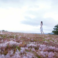 Портрет фотографа (аватар) Thi Linh Chi Nguyen (Nguyễn Thị Linh Chi)