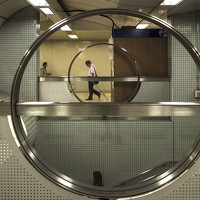 Портрет фотографа (аватар) Francesco Lorusso (Fraliga)