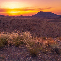 Портрет фотографа (аватар) ali yeganeh