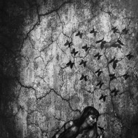 Портрет фотографа (аватар) Aldea Elena (Elena Aldea)