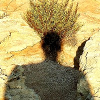 Портрет фотографа (аватар) Андрей Бойко (Andrey Boyko)