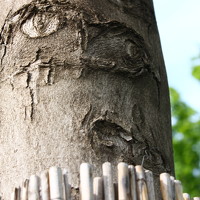 Портрет фотографа (аватар) Глеб Мацак (Gleb Matsak)