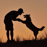 Портрет фотографа (аватар) Jose Antonio Parra Garcia