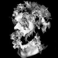 Портрет фотографа (аватар) Ali Ghalamkari