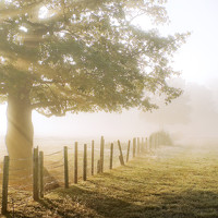 Портрет фотографа (аватар) Alessandro D\\\'Alessandro (Alessandro D \\\\\\\\\\\\\\\\\\\\\\\\\\\\\\\'Ale)