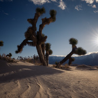 Портрет фотографа (аватар) Carlos Cuervo-Arango