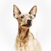 Портрет фотографа (аватар) Игорь Маслов (Ihor Maslov)