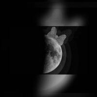 Портрет фотографа (аватар) Radina Anastasova