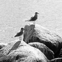 Портрет фотографа (аватар) Александра Чернова (Aleksandra Chernova)