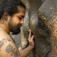 Портрет фотографа (аватар) Ozzie Sai