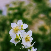 Портрет фотографа (аватар) Никита Серебряков (Nikita Serebryakov)