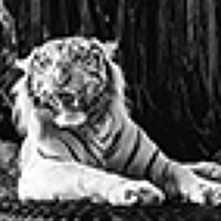 Портрет фотографа (аватар) Выдрин Виктор (Viktor Vydrin)